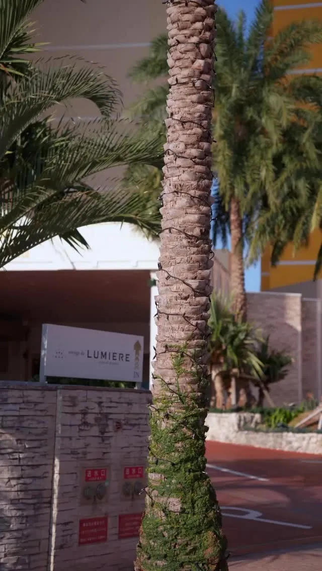 先日は企業様案件（の撮影）で沖縄に行ってきました😊