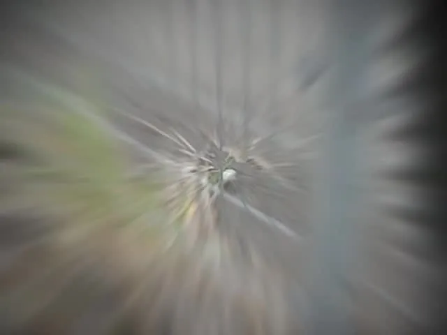 時間が空いたのでゴミ拾い